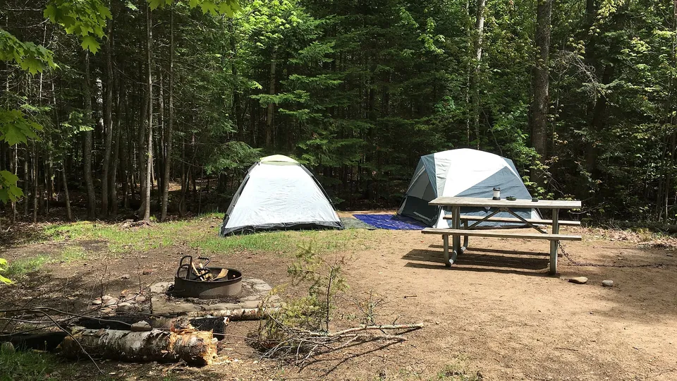 Ein ruhiger Waldcampingplatz mit Zelten und Feuerstelle.