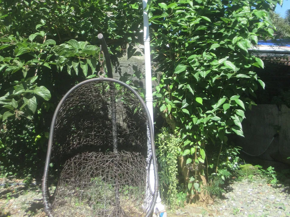Hängesessel mit Metallgestell im grünen Garten