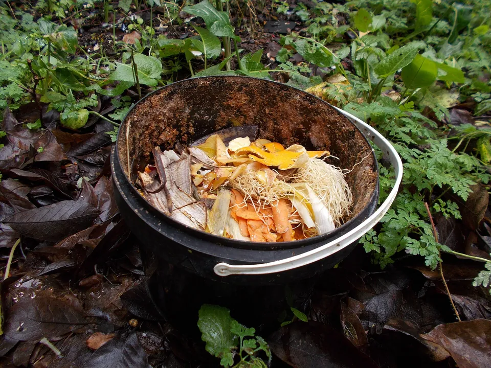 Eimer mit Obst- und Gemüseschalen aus der Küche, abgestellt im Garten